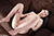 CHISAKI|#143