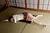 HITOMI|#25