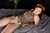 WAKAKO 1|#75