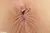 SUZUKO 2|#156