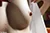 MANASE 5|#62