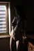 YUZUKI 2|#26