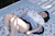 AKINO 2|#32