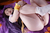 YUKIKO 2|#83