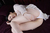 AYANE 7|#29