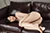 SAKIKO|#120